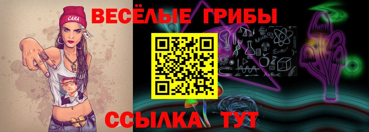 Псилоцибиновые грибы Psilocybe  Вход с VPN  Псилоцибиновые грибы прущие грибы  Ликино-Дулёво 